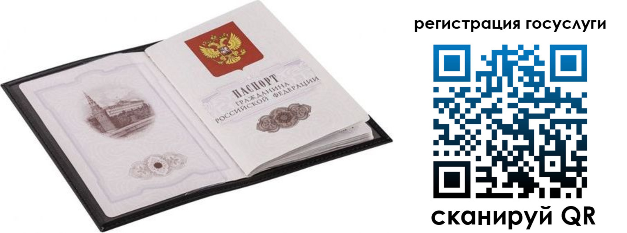 временная регистрация поиск в Краснодаре